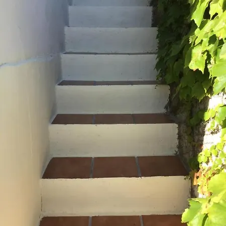 Grande Maison En Bordure De Village Occhiatana